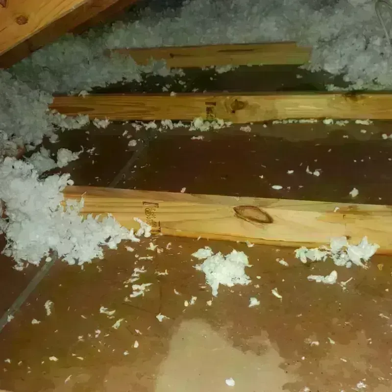 Attic Water Damage in Emerald Lake Hills, CA