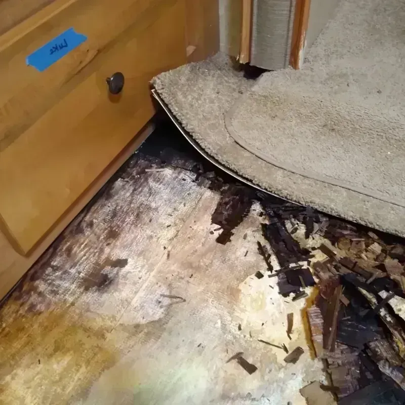 Wood Floor Water Damage in Emerald Lake Hills, CA